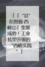 「“县”在图强·西峰①」集聚成势！工业转型升级的“西峰实践”
