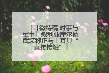 「微特稿·时事与军事」叙利亚库尔德武装称正与土耳其“直接接触”