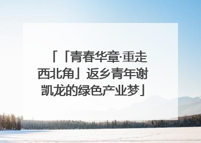 「青春华章·重走西北角」返乡青年谢凯龙的绿色产业梦