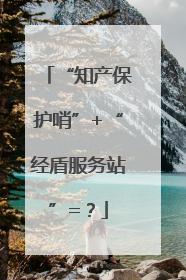 “知产保护哨”+“经盾服务站”=？