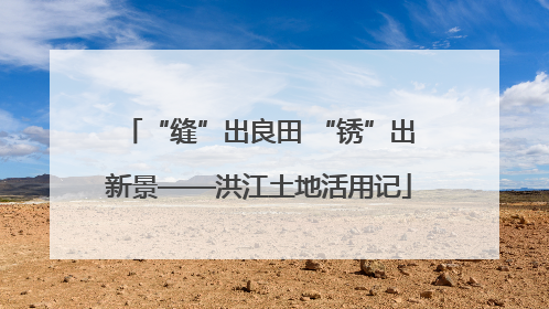 “缝”出良田 “锈”出新景——洪江土地活用记