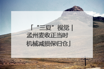 “三夏”视觉｜孟州麦收正当时 机械减损保归仓