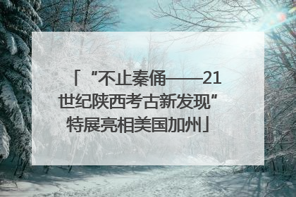 “不止秦俑——21世纪陕西考古新发现”特展亮相美国加州