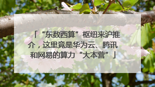 “东数西算”枢纽来沪推介，这里竟是华为云、腾讯和网易的算力“大本营”