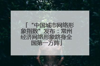 “中国城市网络形象指数”发布：常州经济网络形象跻身全国第一方阵