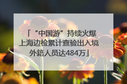 “中国游”持续火爆 上海边检累计查验出入境外籍人员达484万