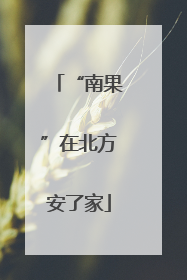 “南果”在北方安了家