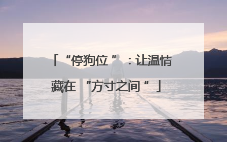 “停狗位 ”：让温情藏在 “方寸之间 ”