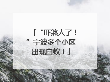 “吓煞人了！”宁波多个小区出现白蚁！