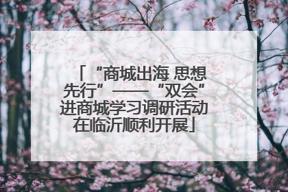 “商城出海 思想先行”——“双会”进商城学习调研活动在临沂顺利开展