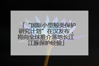 “国际小型鲸类保护研究计划”在汉发布，将向全球推介落地长江江豚保护经验