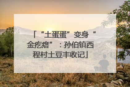 “土蛋蛋”变身“金疙瘩”：孙伯镇西程村土豆丰收记