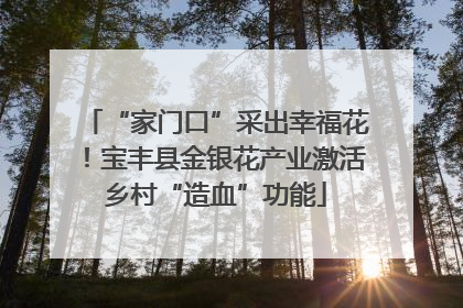 “家门口”采出幸福花！宝丰县金银花产业激活乡村“造血”功能