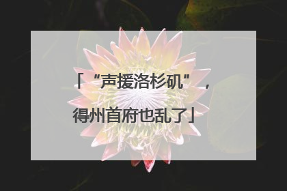 “声援洛杉矶”，得州首府也乱了