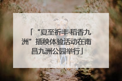 “夏至祈丰·稻香九洲”插秧体验活动在南昌九洲公园举行