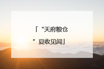 “天府粮仓”夏收见闻