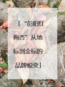 “彭阳红梅杏”从地标到金标的品牌蜕变