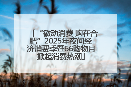 “徽动消费 购在合肥”2025年夜间经济消费季暨66购物月掀起消费热潮