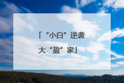 “小白”逆袭大“盈”家