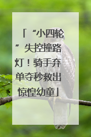 “小四轮”失控撞路灯！骑手弃单夺秒救出惊惶幼童