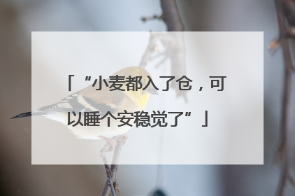 “小麦都入了仓，可以睡个安稳觉了”