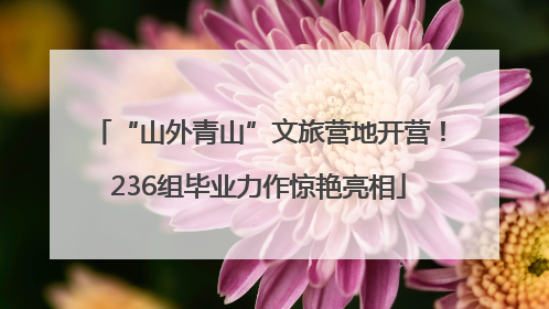 “山外青山”文旅营地开营！236组毕业力作惊艳亮相