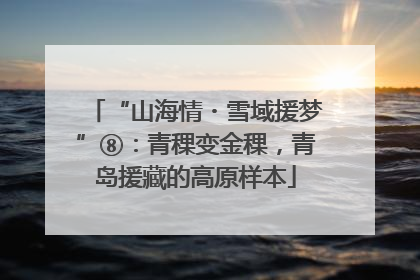 “山海情・雪域援梦”⑧：青稞变金稞，青岛援藏的高原样本