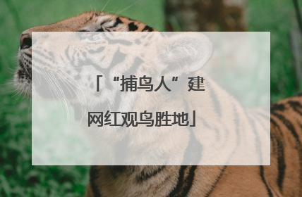 “捕鸟人”建网红观鸟胜地