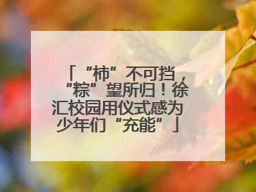 “柿”不可挡，“粽”望所归！徐汇校园用仪式感为少年们“充能”