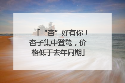 “杏”好有你！杏子集中登鹭，价格低于去年同期