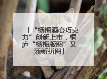 “杨梅酒心巧克力”创新上市，桐庐“杨梅版图”又添新拼图