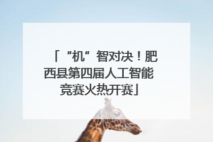 “机”智对决！肥西县第四届人工智能竞赛火热开赛