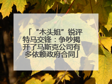 “木头姐”锐评特马交锋：争吵揭开了马斯克公司有多依赖政府合同