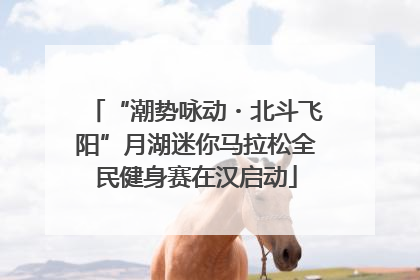 “潮势咏动・北斗飞阳”月湖迷你马拉松全民健身赛在汉启动