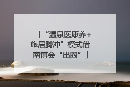 “温泉医康养+旅居腾冲”模式借南博会“出圈”