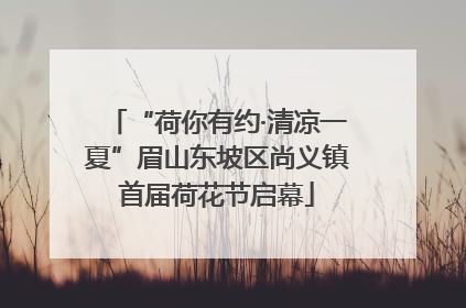 “荷你有约·清凉一夏”眉山东坡区尚义镇首届荷花节启幕