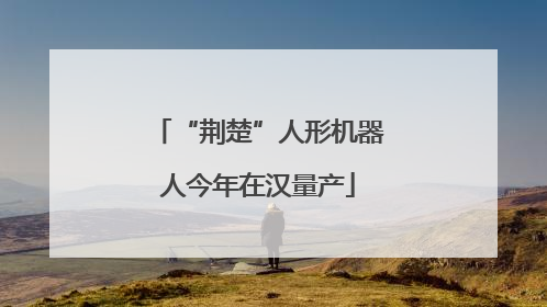 “荆楚”人形机器人今年在汉量产