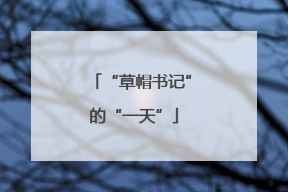 “草帽书记”的“一天”