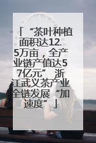 “茶叶种植面积达12.5万亩，全产业链产值达57亿元” 浙江武义茶产业全链发展“加速度”