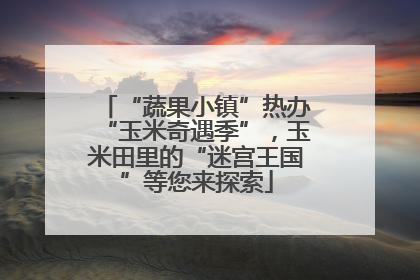 “蔬果小镇”热办“玉米奇遇季”，玉米田里的“迷宫王国”等您来探索