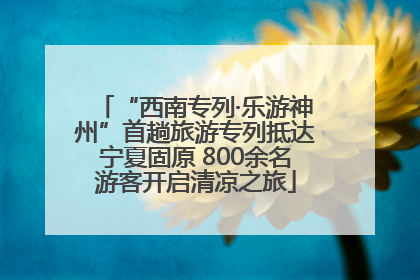 “西南专列·乐游神州”首趟旅游专列抵达宁夏固原 800余名游客开启清凉之旅