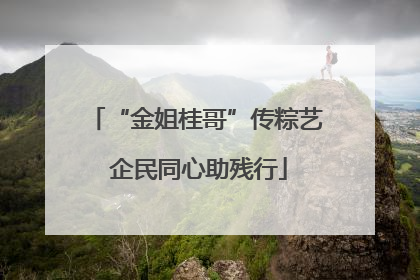 “金姐桂哥”传粽艺 企民同心助残行