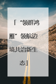 “领群鸿雁”领航边境共治新生态
