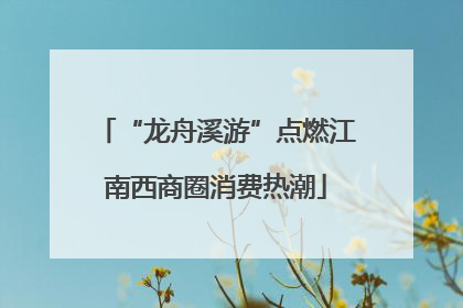 “龙舟溪游”点燃江南西商圈消费热潮