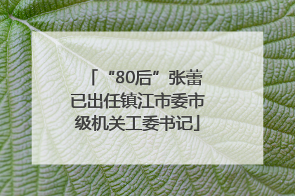 “80后”张蕾已出任镇江市委市级机关工委书记