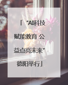 “AI科技赋能教育 公益点亮未来”德阳举行