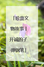 珍贵文物故事丨开诚的子弹钢笔