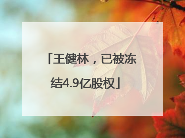 王健林，已被冻结4.9亿股权