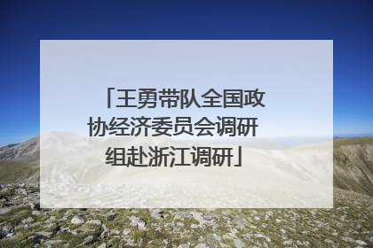 王勇带队全国政协经济委员会调研组赴浙江调研