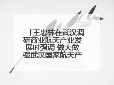 王忠林在武汉调研商业航天产业发展时强调 做大做强武汉国家航天产业基地 打造具有全国影响力的“中国星谷”